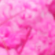 Hồng