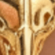 Vàng