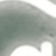 trắng