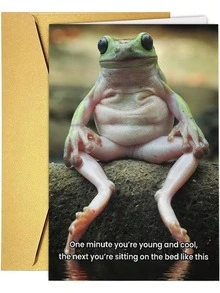 1pc Funny Frog Sitting Greeting Card, Suitable As Gift For Brother, Friend, Uncle, Dad, Grandpa, Brother-In-Law - View 7