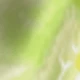 Verde Lima