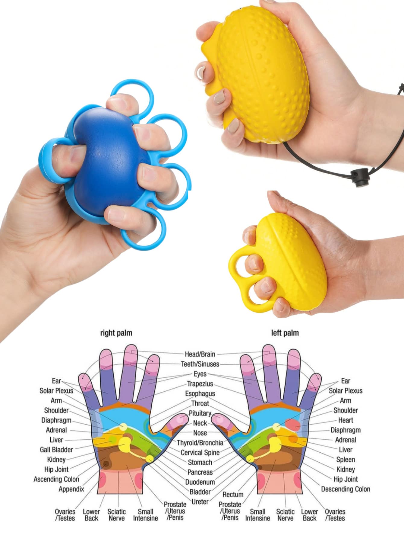 Hand Exercise Ball Finger Trainer - Kneading Ball For Hands Therapy, Strengthening Of Hand, Improve Flexibility Squeeze Stress Relief Balls, Hand Grip Strength Trainer - Multicolor - View 1