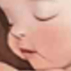 完整套件 336