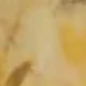 Egg Yolk