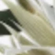 White-green