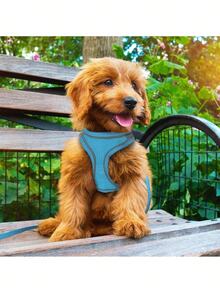 1pc Chest & Leash Harness Set, Backpack Style Pet Leash Harness, Cat Dog Chest Harness Breathable Reflective Escape Proof Outdoor Leash/Small Dog Harness, Breathable Mesh Step-In Vest Harness, Reflective Soft Padded Harnesses Small Sized Dog For Walking - Multicolor - View 7