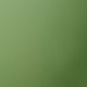 Avocado Green
