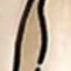 彩色