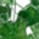 Nhiều màu