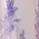 Mauve Purple