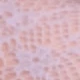 Roxo Lilás