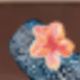 彩色