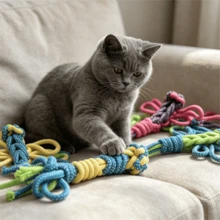 4 món đồ chơi kéo cho chó bằng dây thừng cotton an toàn, có nút thắt đôi, chống cắn, không gây sâu răng cho chó con trong giai đoạn thay răng, giúp làm sạch và làm dịu răng khi chó nghiến răng. Sản phẩm tốt. - Nhiều màu - Xem 1