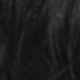 Natural Black