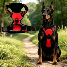 1 Set Dog Harness And Leash, Reflective Anti-Pull Pet Chest Strap With Quick Release Buckle, Comfortable Thick Handle, Durable For Walking And Training - Red - View 14