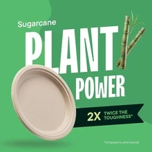 100%可堆肥纸盘，加厚一次性餐盘[50个] 9英寸 - 甘蔗色，天然未漂白棕色9英寸一次性餐盘 - 本色 - 查看 5
