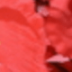 紅色