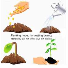 Plant Seeds - View 3