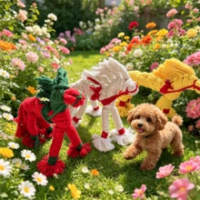 4个手工编织小马结宠物玩具，无异味，幼犬换牙期啃咬清洁牙齿互动舒缓工具 - 彩色 - 查看 4