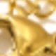 Amarillo Oro