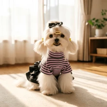 1件可爱条纹荷叶袖狗狗连衣裙，公主风宠物服装，小型犬夏季服装 - 紅色 - 查看 6