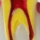 Multicolor 1