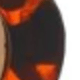 da báo