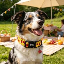 Collar de perro arcoíris Bobo con estampado de mariquita de primavera, collar ajustable para mascotas con colgante y hebilla de plástico de liberación rápida para perros - Amarillo - Ver 6