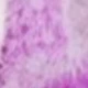 Cat Paw (purple)