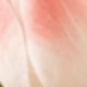 Peach Pink