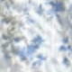 Blue and White