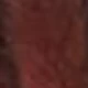 Dark Red Brown