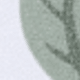 Dây leo viền xanh