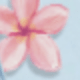 彩色