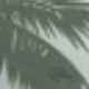 Trong sáng