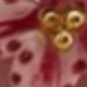 彩色