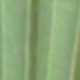綠色