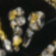Negro y oro