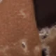 نقش قهوة رقم 25