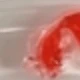 Koi Fish