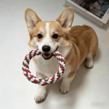 Đồ chơi cho chó bằng dây cotton dệt nhiều màu, giúp mài và làm sạch răng, phù hợp cho chó Poodle, Corgi, Bear và các giống chó khác. - Nhiều màu - Xem 4