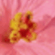 彩色