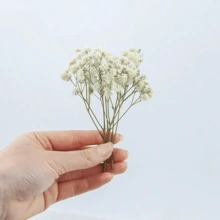 50朵人造純白色雛菊花 - 精緻且易於DIY,適用於婚禮、家居與辦公室裝飾、派對與花園 - 桌上波西米亞花環、花束、庭院裝飾、懸掛花卉,無羽毛,無電力,適用於聖誕節、玫瑰 - 彩色 - 查看 4