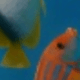 海底世界