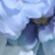 藍色