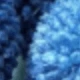 Light Royal Blue