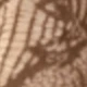 màu nâu