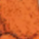 trái cam