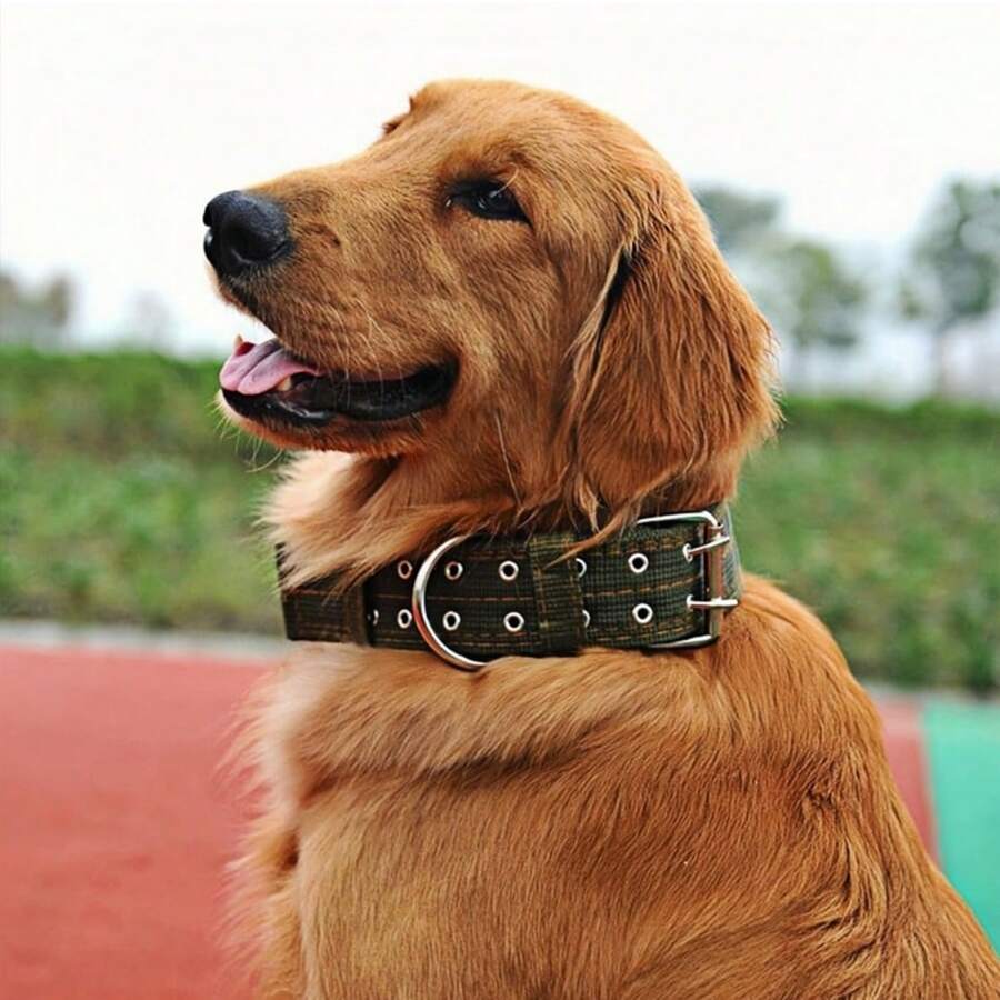 1 pieza Collar ajustable para perros, adecuado para perros medianos/grandes/pequeños, collar táctico militar para entrenamiento de perros con correa, el mejor regalo para amantes de los perros - Multicolor - Ver 1