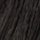 S1B